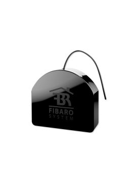 Double Switch 2 двухканальное реле Fibaro