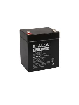 FS 12045 аккумулятор ETALON